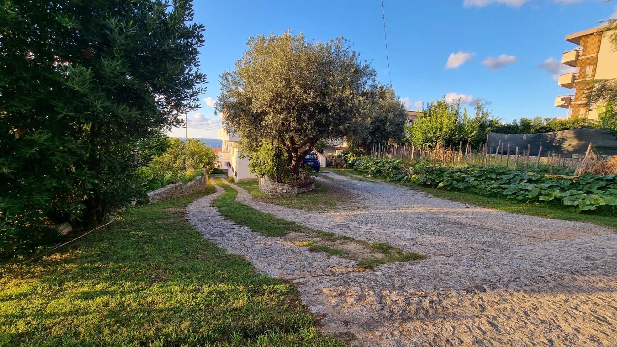 Villa Eugenia Тропея Экстерьер фото